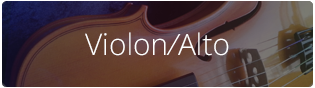 violon